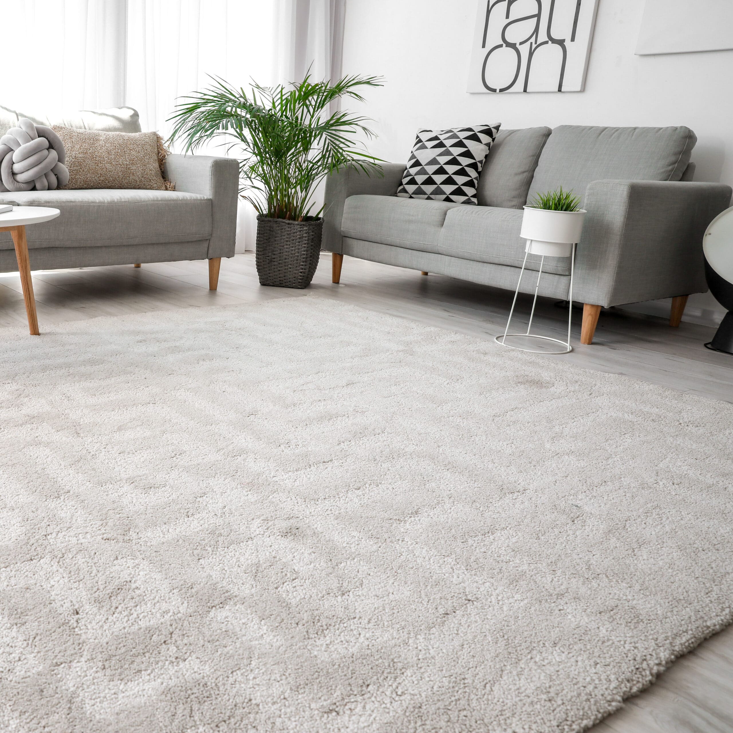 A bright living room with two light gray sofas, patterned pillows, and a white round coffee table on a plush beige rug. A potted plant adds greenery, and abstract artwork is on the wall. Large windows let in natural light.